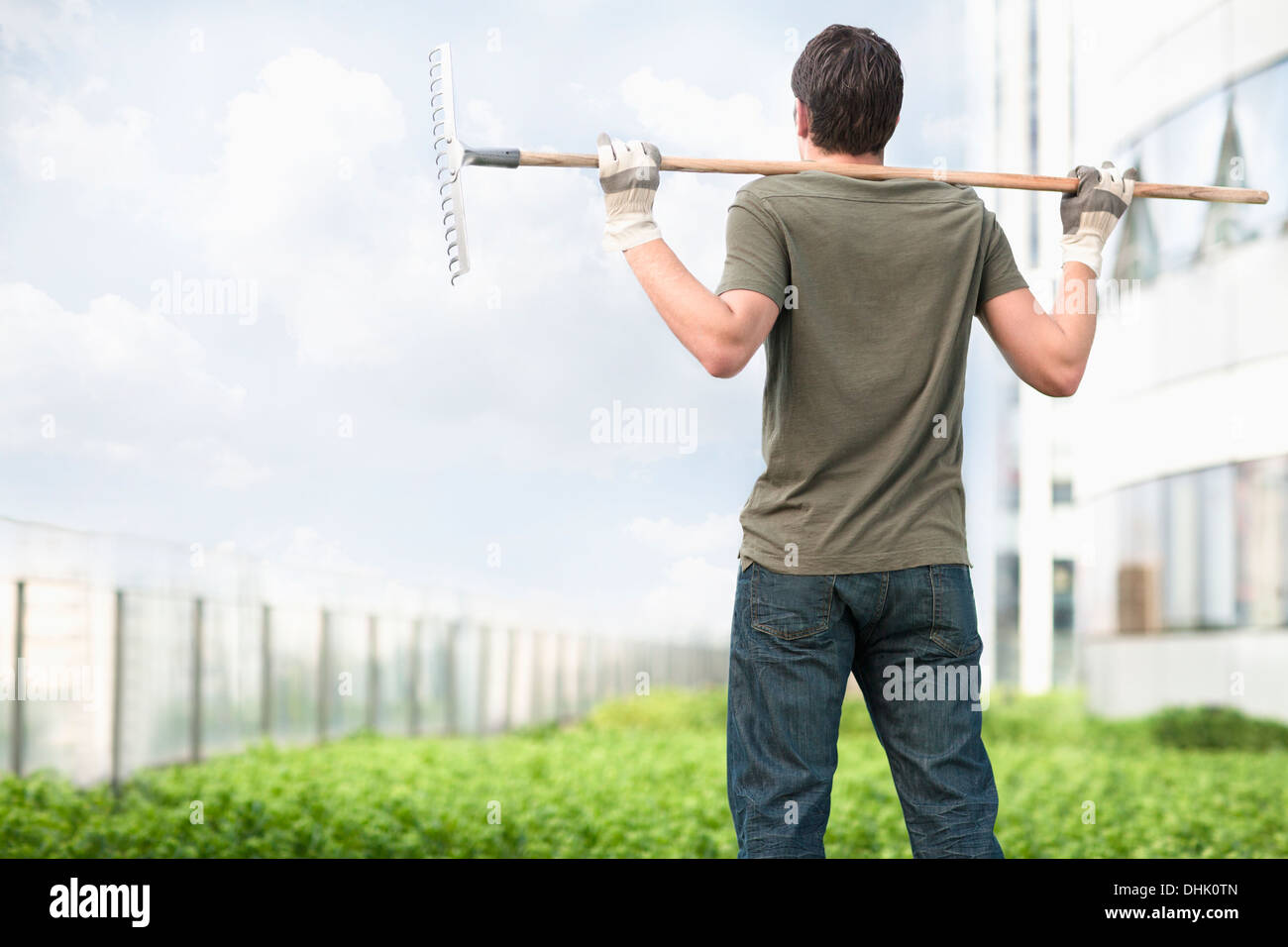 Junger Mann hält eine Harke auf seinen Schultern und mit Blick auf grüne Pflanzen in einem Dachgarten in der Stadt Stockfoto