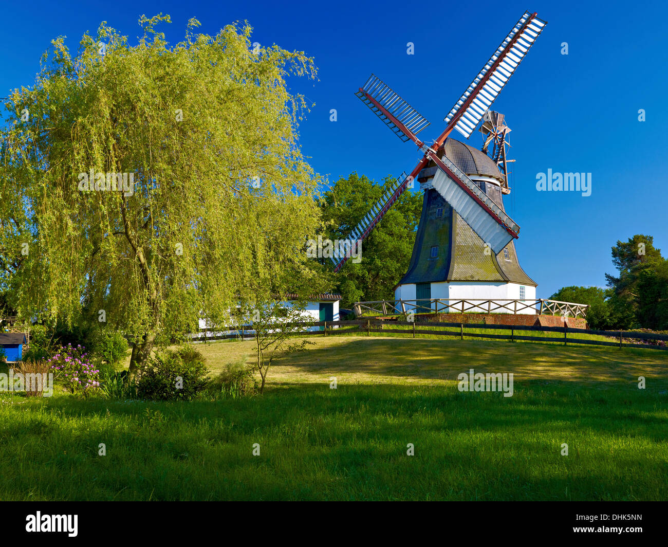 Windmühle, Worpswede, Deutschland Stockfoto