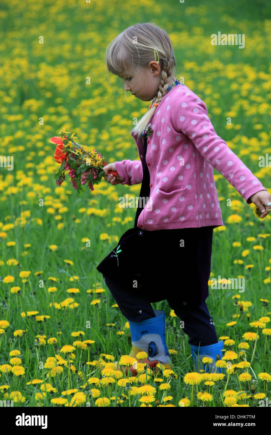 Kleines Mädchen auf Löwenzahn Feld, Tschechische Republik, Europa Stockfoto