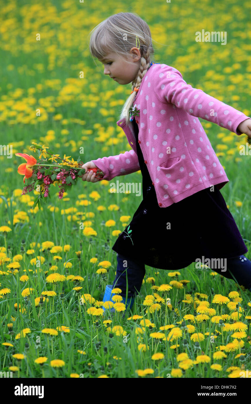 Ein kleines Mädchen auf Löwenzahn Feld, Tschechische Republik, Europa Stockfoto