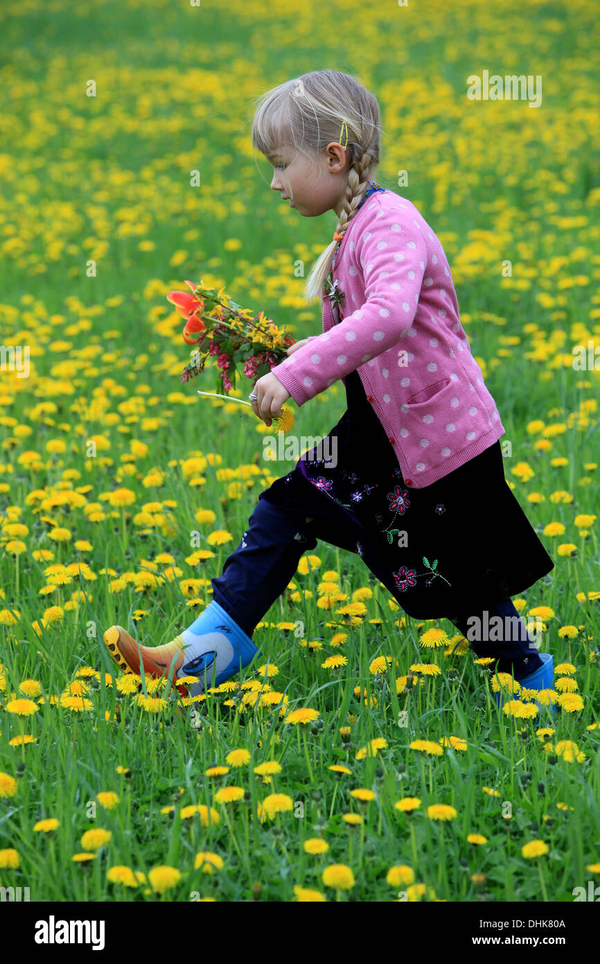Ein kleines Mädchen auf Löwenzahn Feld, Tschechische Republik, Europa Stockfoto