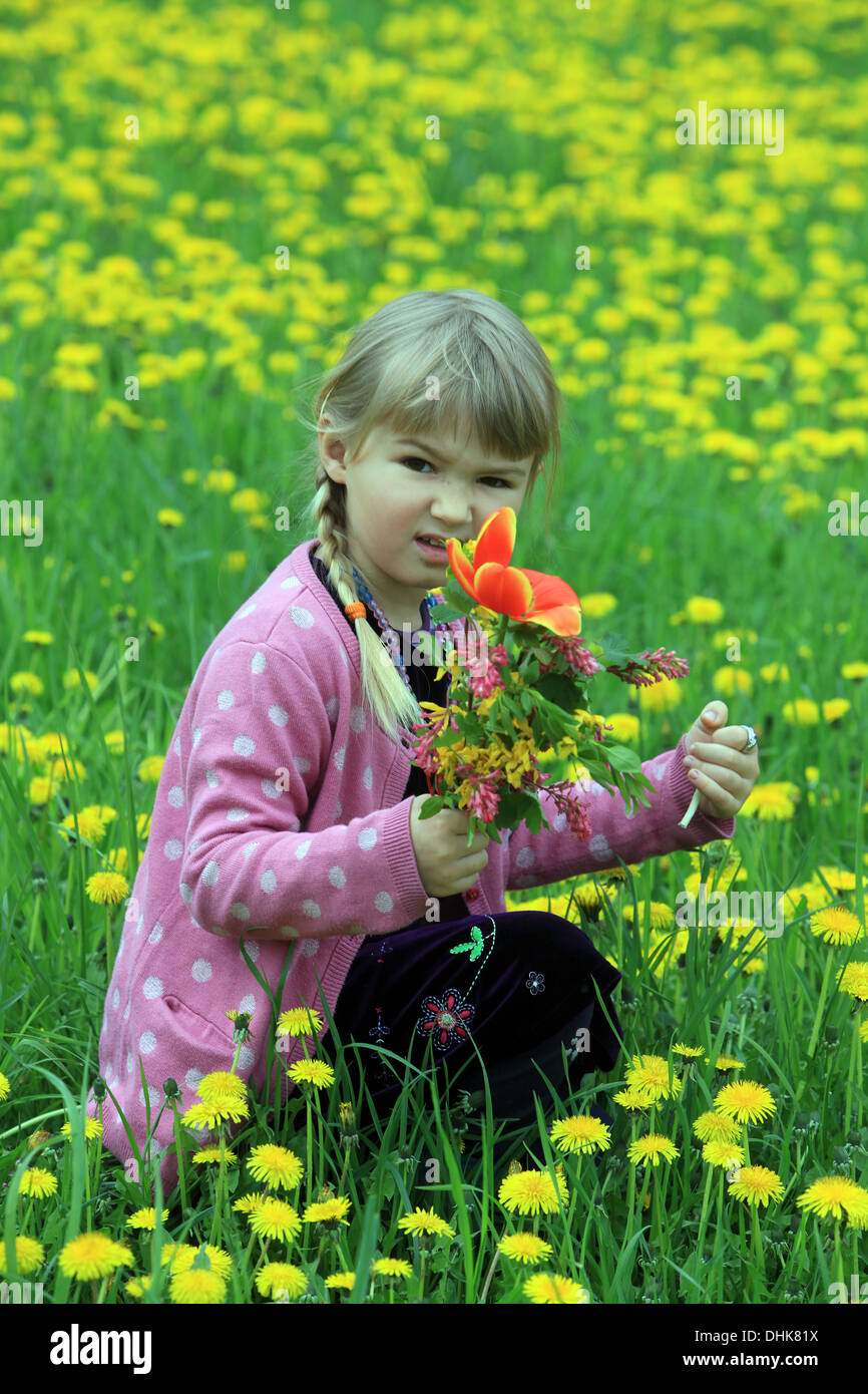 Kleines Mädchen auf Löwenzahn Feld, Tschechische Republik, Europa Stockfoto