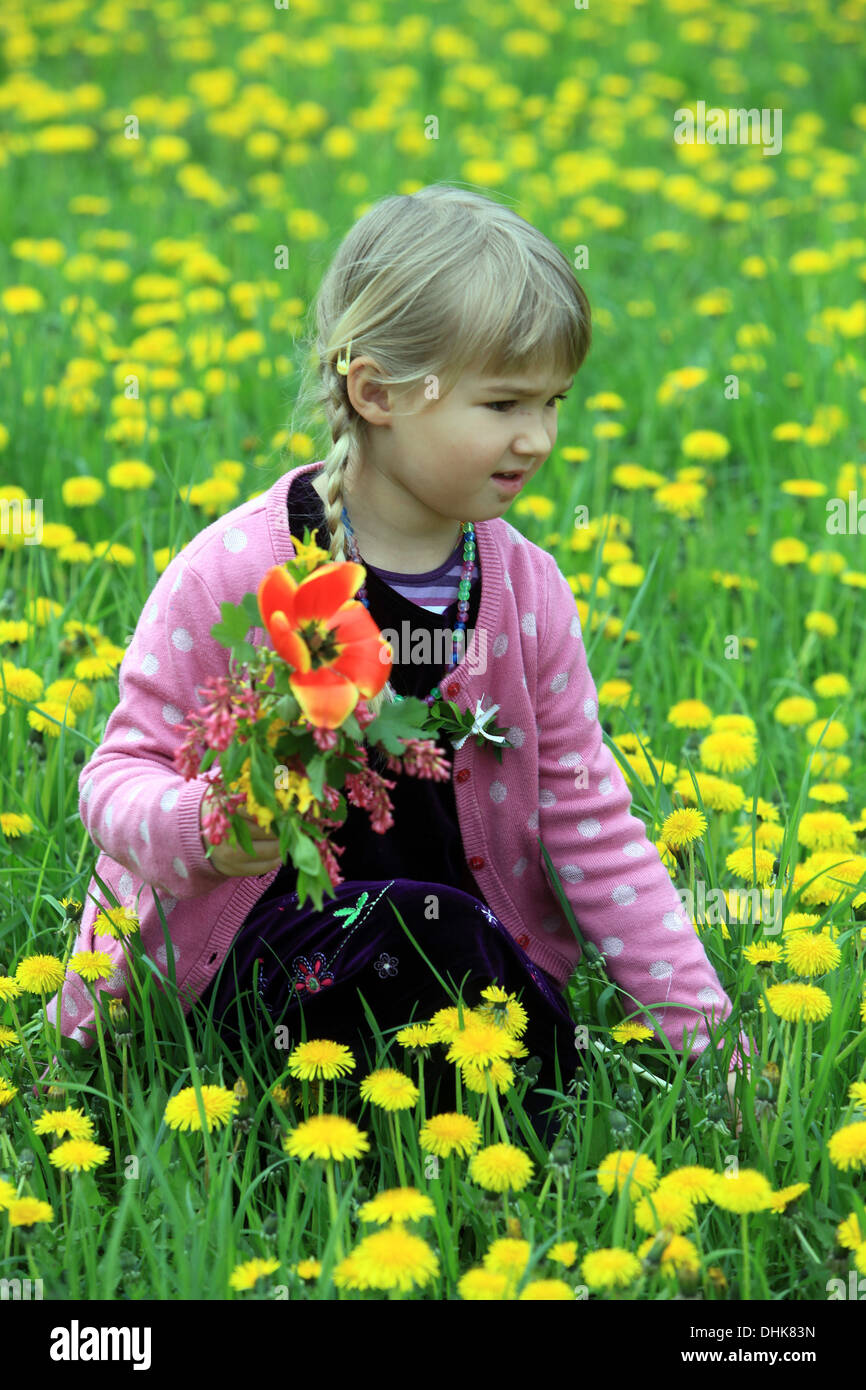 Kleines Mädchen auf Löwenzahnfeld Stockfoto