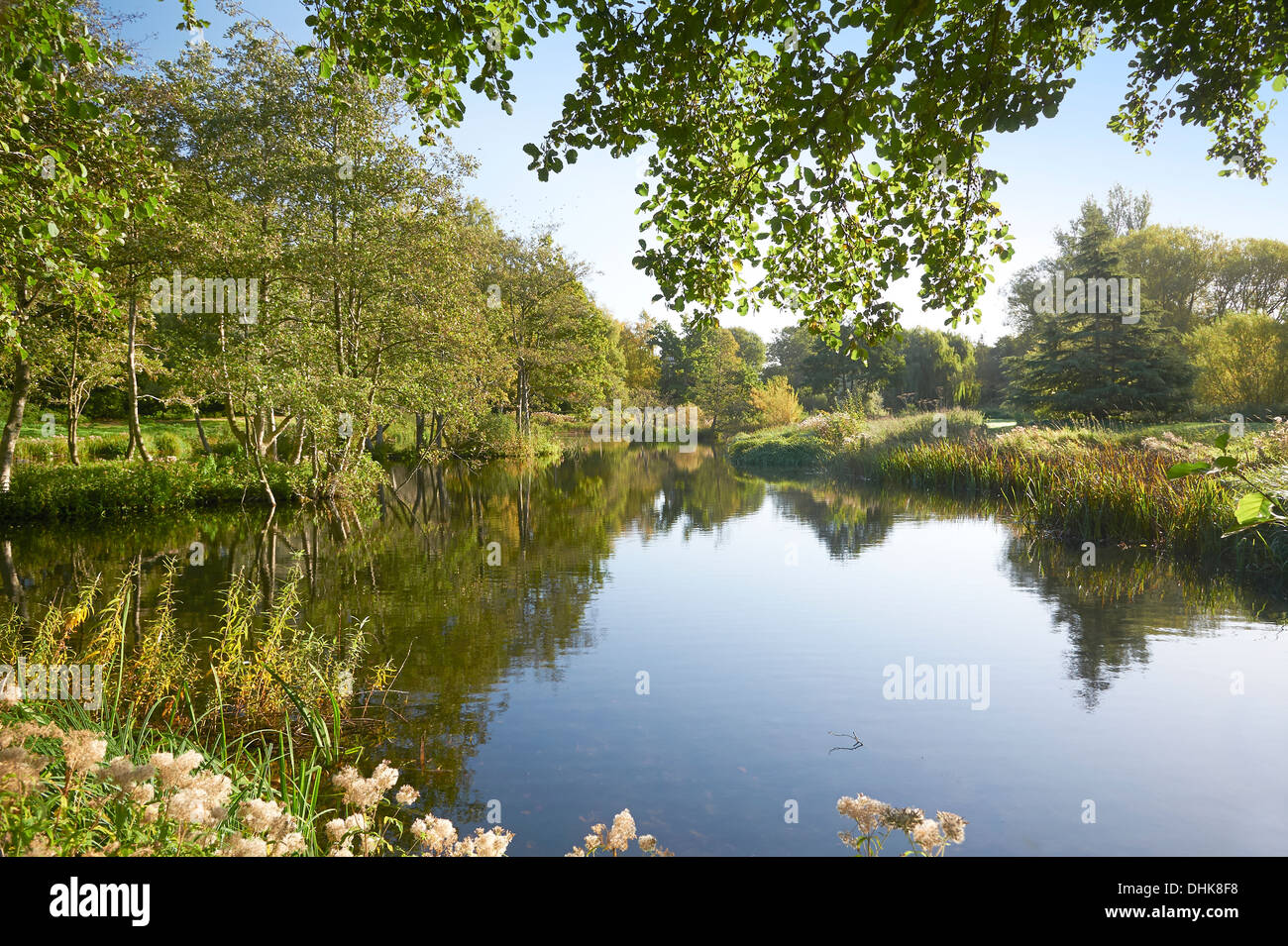 Britische Landschaft Blick auf Bäume und Seen Stockfoto