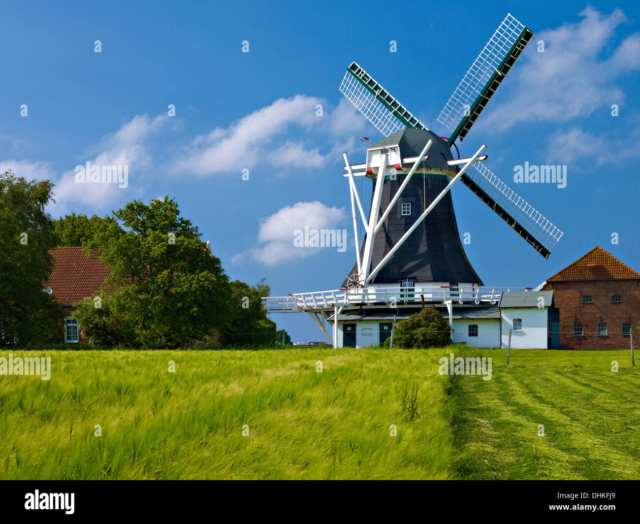 Seriemer Mühle, Neuharlingersiel, Ost-Friesland, Deutschland Stockfoto