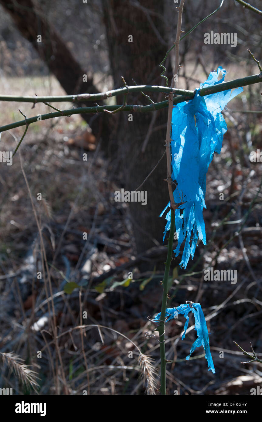 Blaue Kunststoff zerrissen auf Zweig Stockfoto