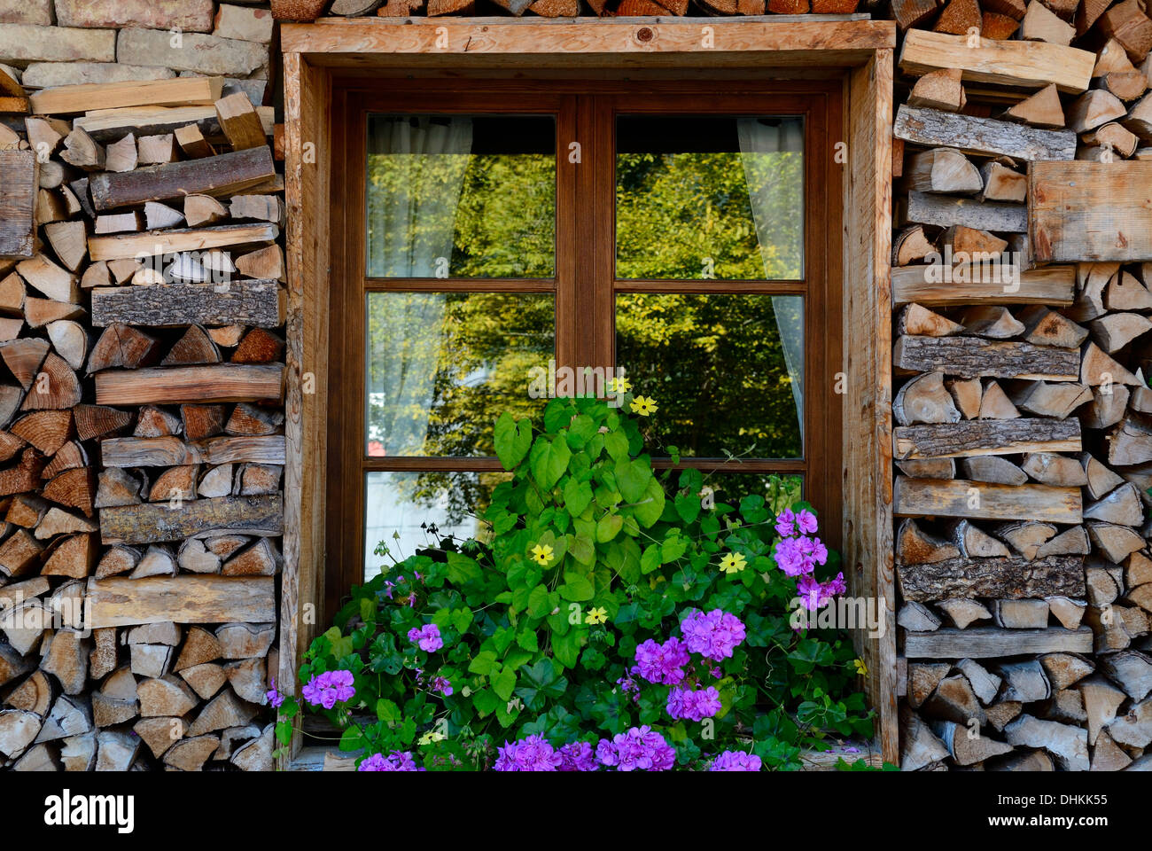 Alte Holzfenster mit Blumen Stockfoto