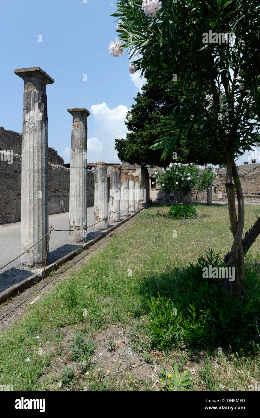 Die westlichen Portikus von der großen hinteren Säulenhalle, die von 43 Spalten im Haus des Faun, Pompeji Italien umschlossen war. Stockfoto