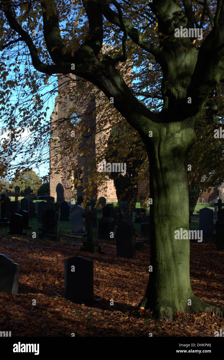 St. Marienkirche, Eccleston Preston Lancashire Gräber Sonnenschein Blätter grüner Baum Stockfoto