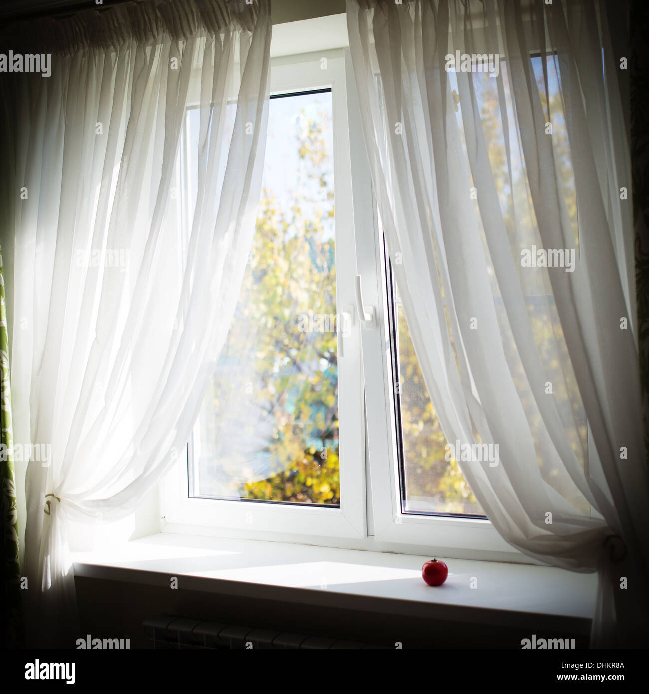 Herbst-Fenster Stockfoto