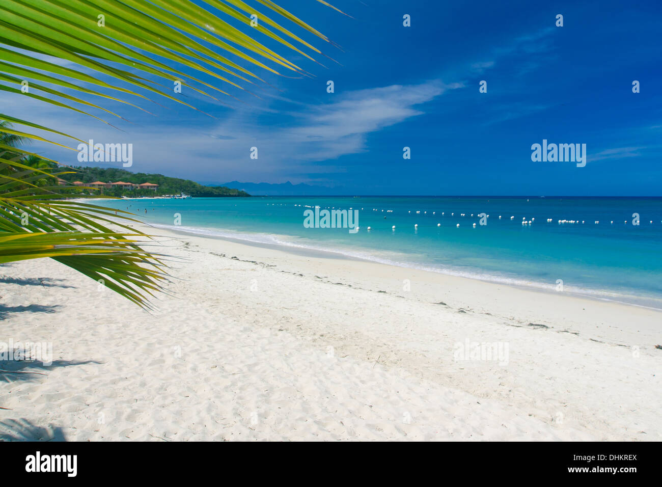 Palmwedel auf tropischen weißen Sandstrand, die karibischen Meer blicken. Roatan, Honduras Stockfoto
