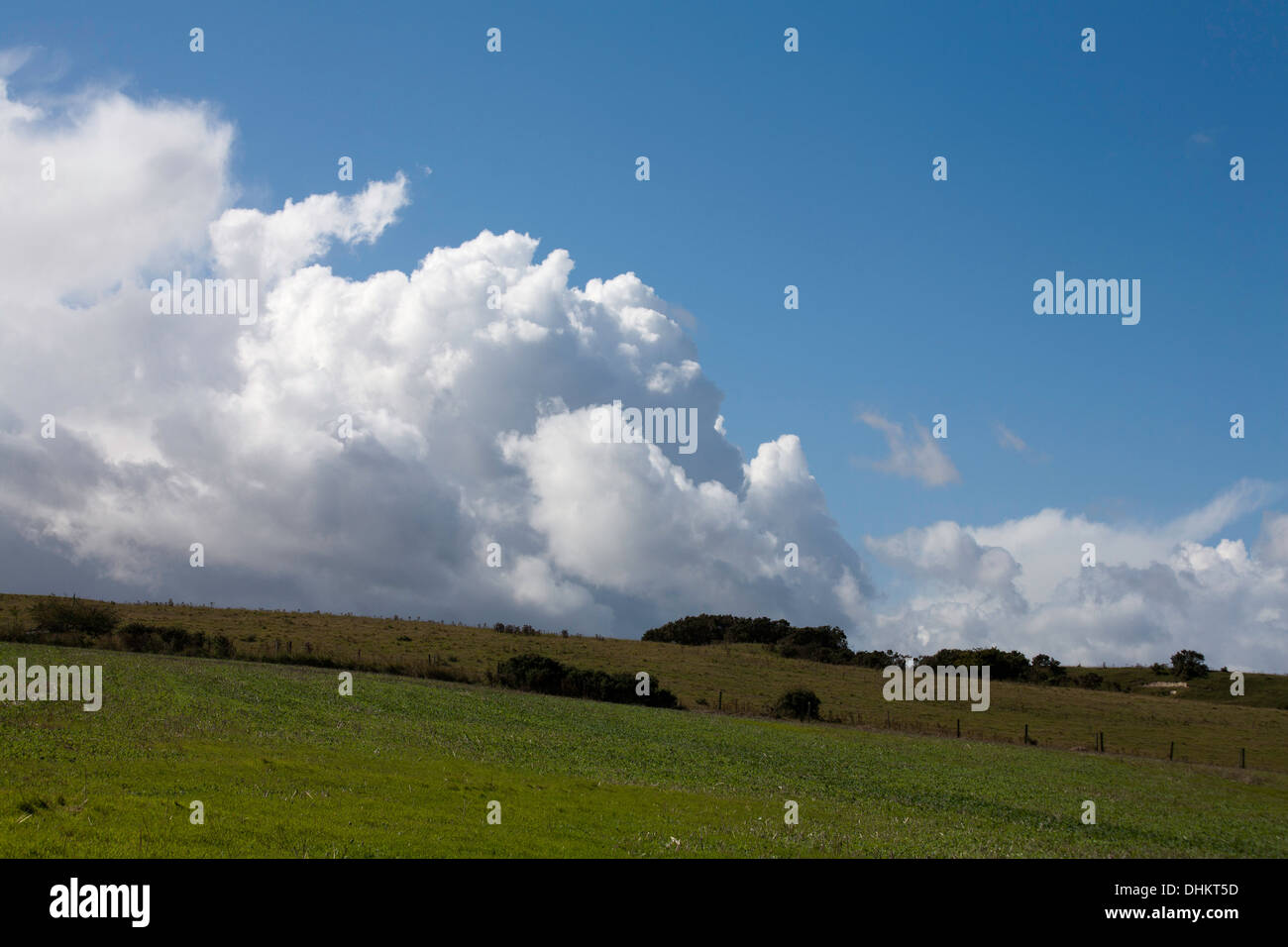 Der Grat des Pentridge Hill The Dorset Downs in der Nähe von Cranborne Dorset-England Stockfoto