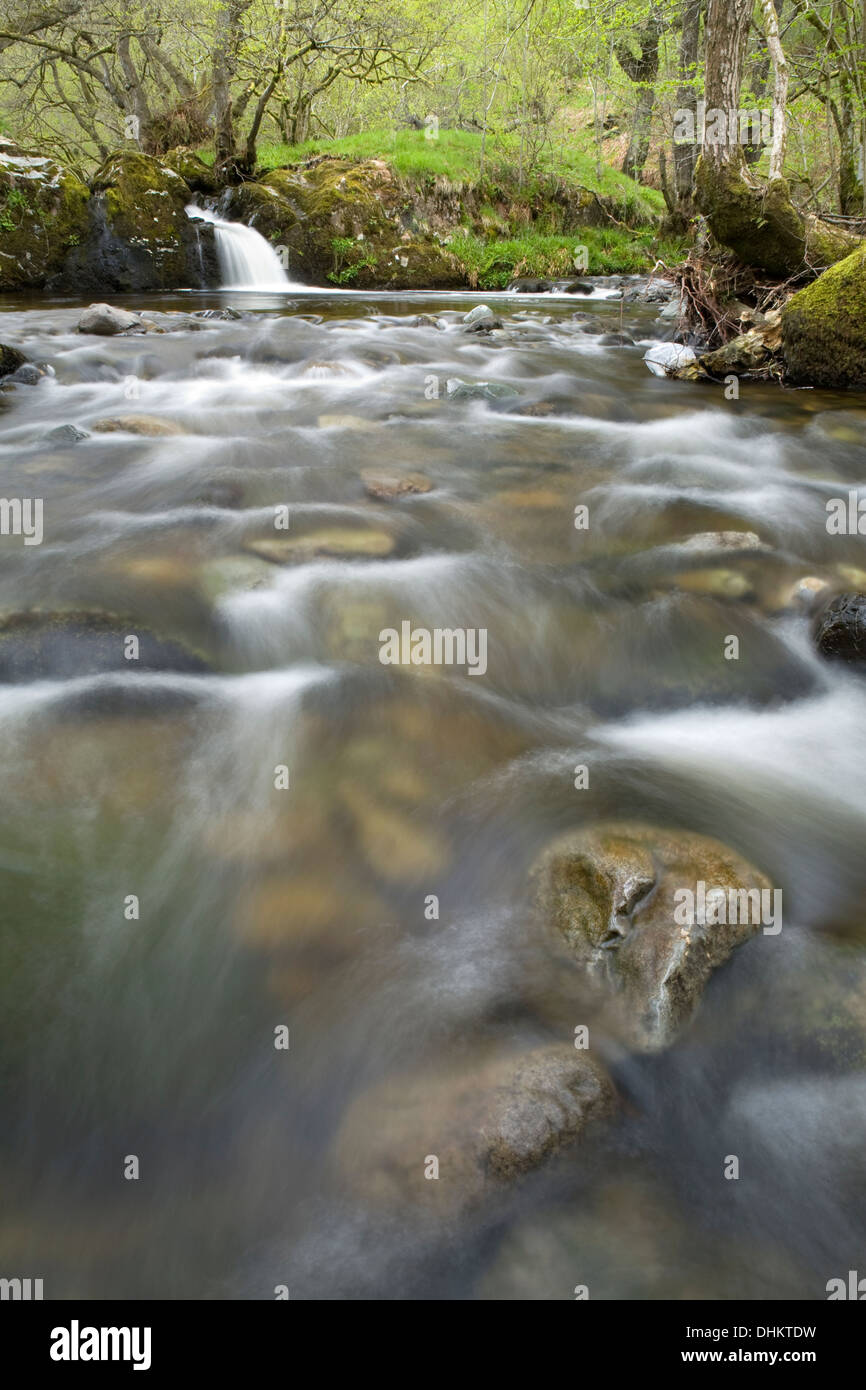 Einem schnell fließenden Abschnitt der Aira Beck als die Wasserkaskaden um Felsen im stream Stockfoto