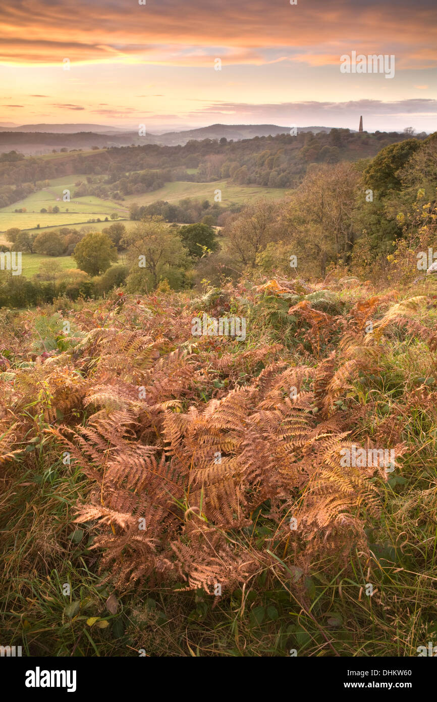 Foto von Bracken Mittsommer Hill auf die Malvern Hills, Herefordshire, bei Sonnenuntergang mit Blick auf Eastnor entnommen. Stockfoto