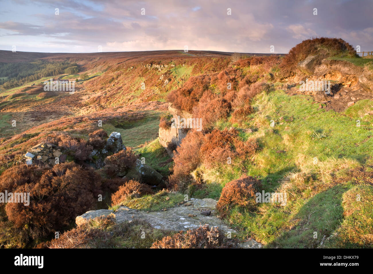 Botton, North York Moors, North Yorkshire, bei Sonnenaufgang. Stockfoto