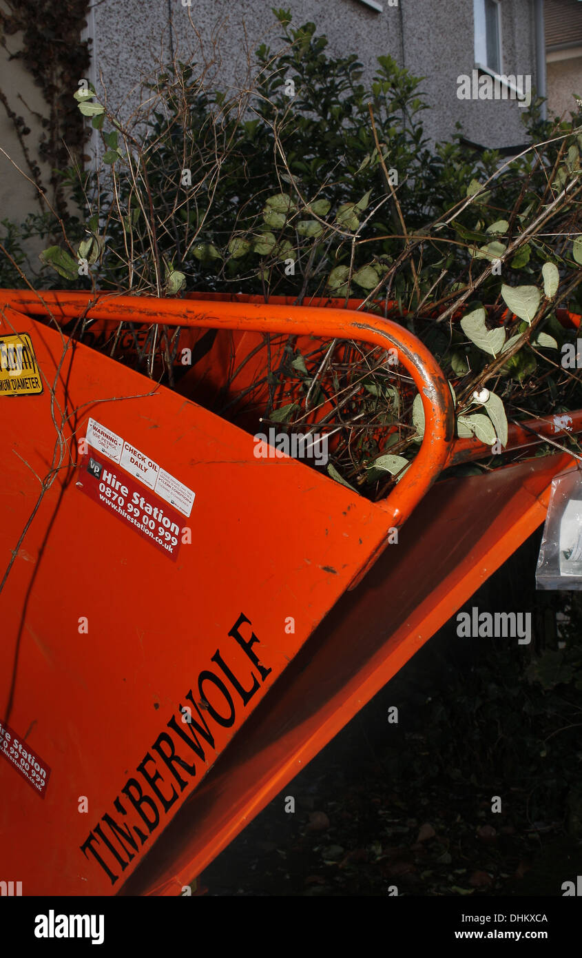 Bild Von Heavy Duty Gemieteten Benzin Schredder Im Garten Stockfotografie Alamy
