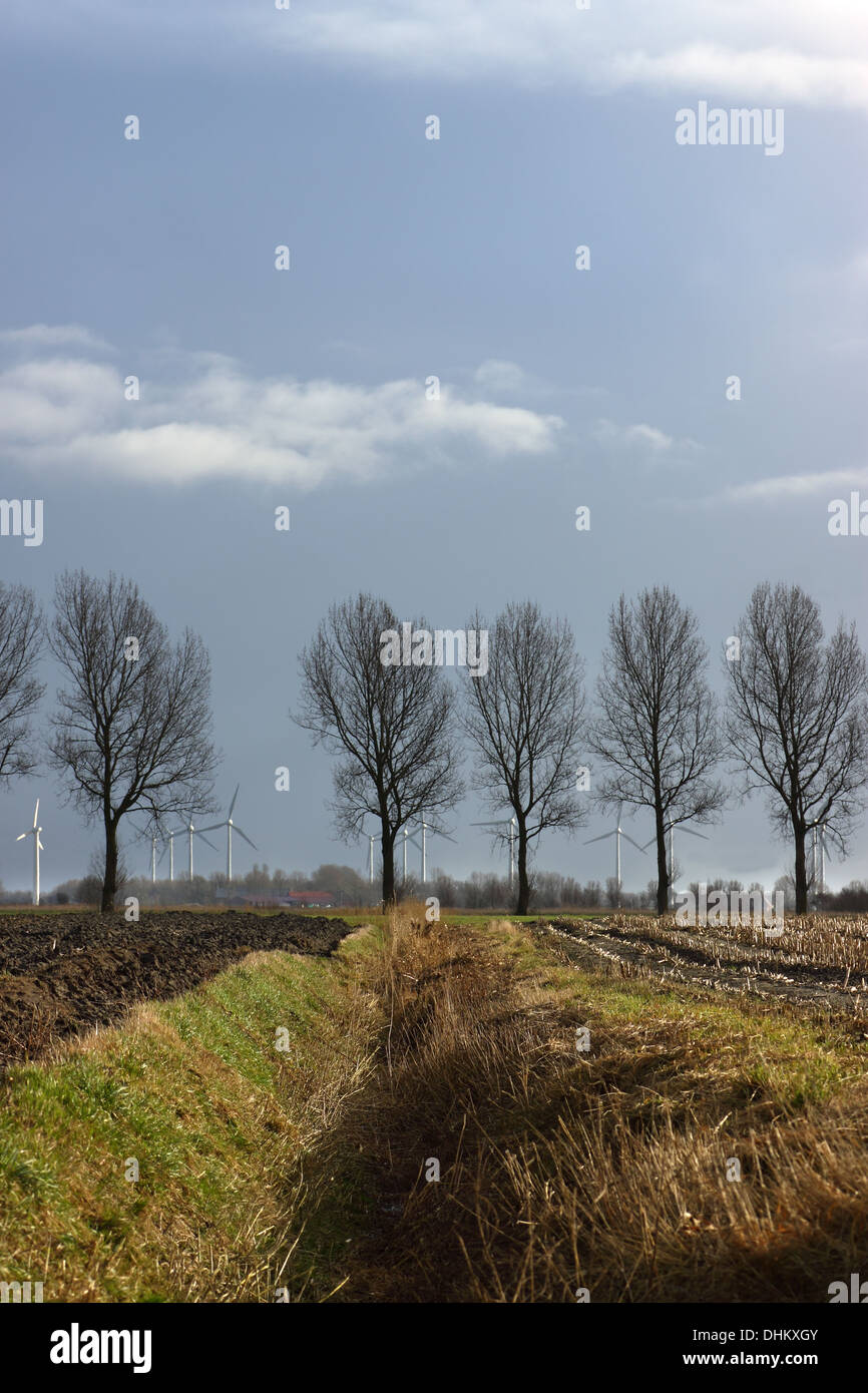 Graben im Bereich Stockfoto