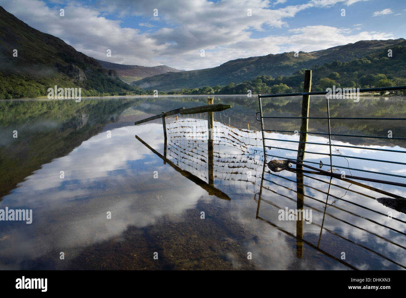 Ein Zaun und Reflexion in Llyn Gwynant gehen. Der Nebel steigt über dem See teilweise verdeckt Gallt y Wenallt, Nant gwynant Stockfoto