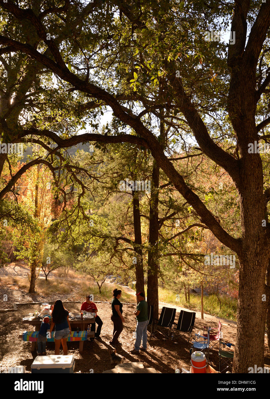 Besucher Madera Canyon genießen ein Picknick und Farben des Herbstes in den Santa Rita Mountains, Arizona, USA. Stockfoto