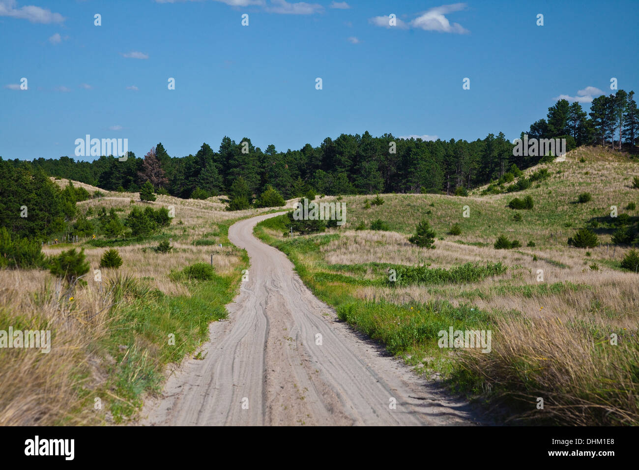 Kreis Straße, aka FSR 203, eine sandige, schmale Straße schlängelt sich durch die Sandhills in Nebraska National Forest Stockfoto