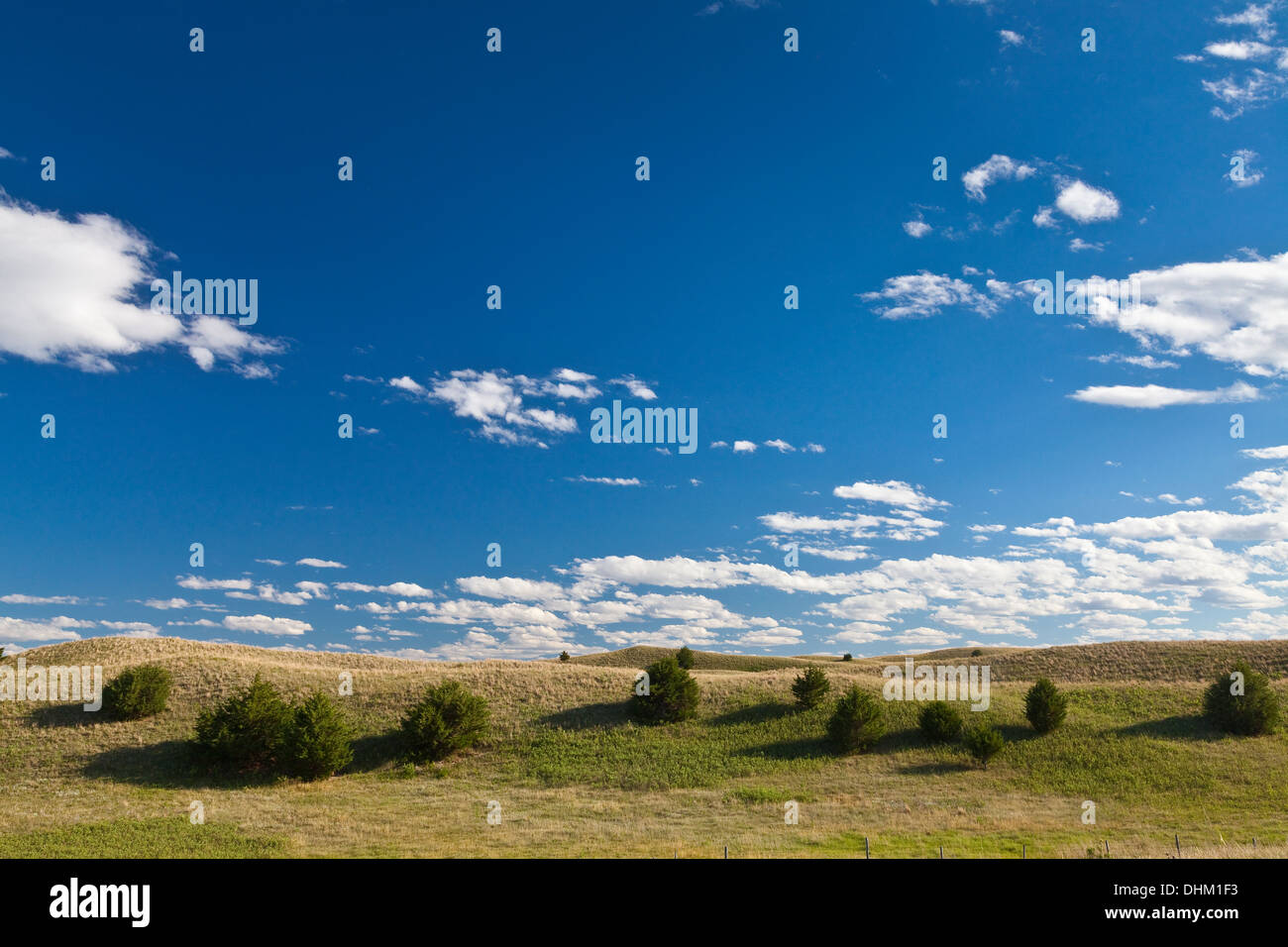 Wacholder Weg Kreis, aka FSR 203, durch die Sandhills in Nebraska National Forest, Nebraska, USA, Juni Stockfoto