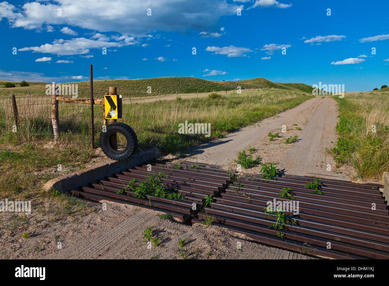 Cattle Guard Kreis Weg in den Sandhills von Nebraska National Forest, Nebraska, USA, Juni Stockfoto
