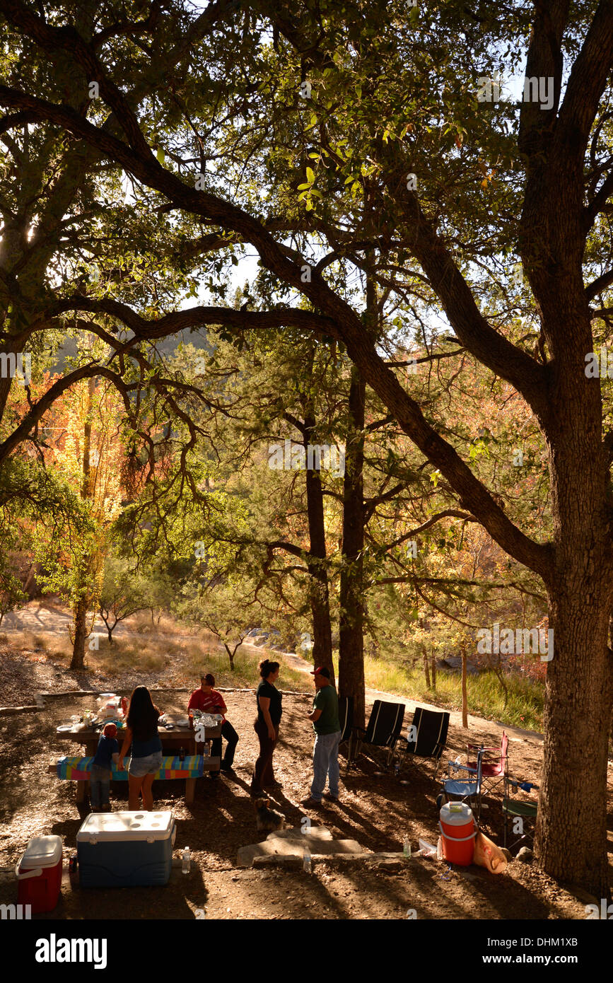 Besucher Madera Canyon genießen ein Picknick und Farben des Herbstes in den Santa Rita Mountains, Arizona, USA. Stockfoto