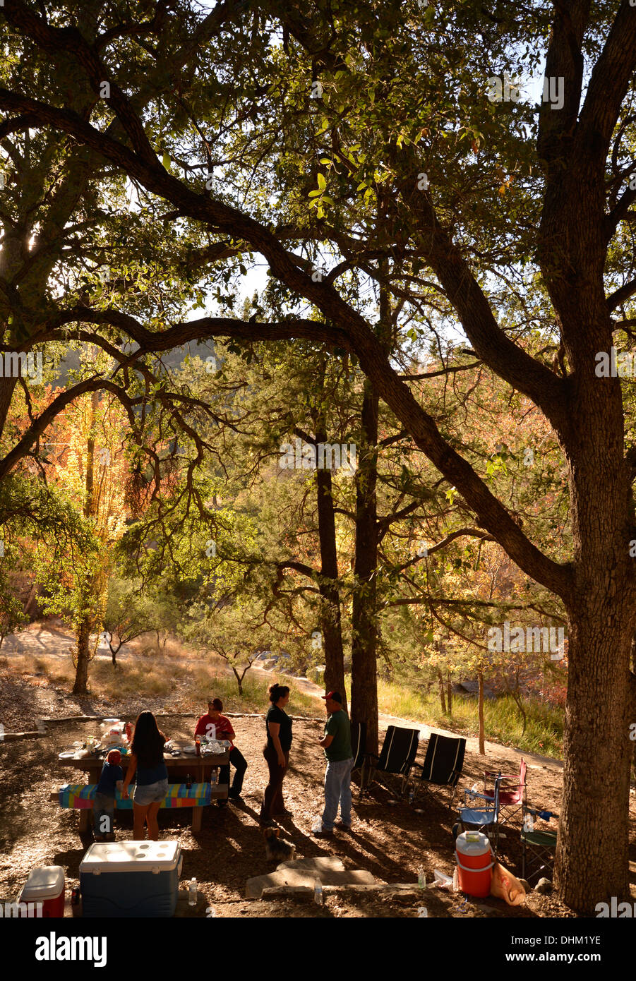 Besucher Madera Canyon genießen ein Picknick und Farben des Herbstes in den Santa Rita Mountains, Arizona, USA. Stockfoto