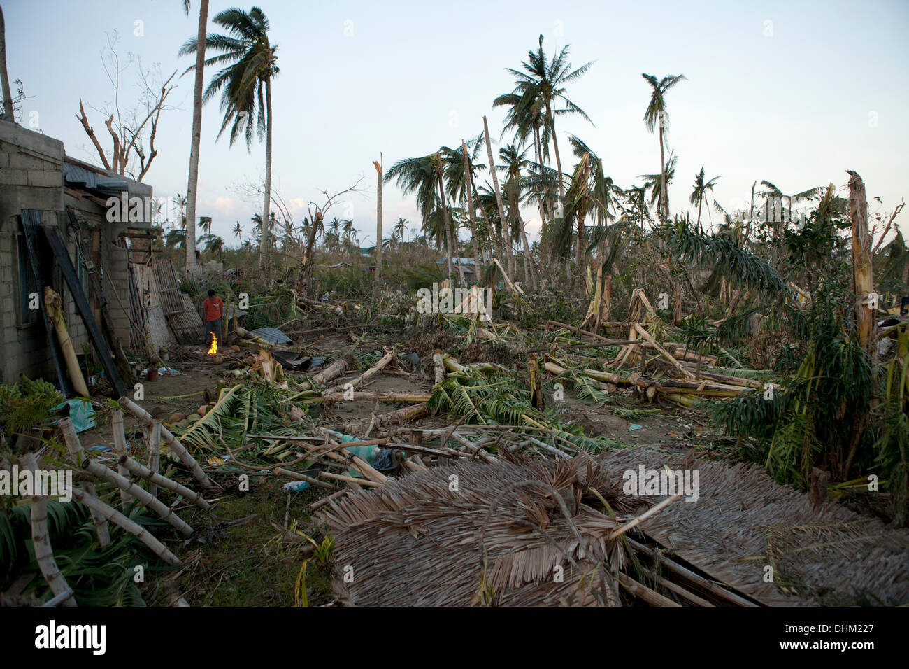 Daanbantayan, Cebu, Philippinen. 10. November 2013. Die zerstörerische Kraft der Taifun Haiyan abgeflacht einfach alles in seinem Weg, wie es durch den zentralen Philippinen zerriss. © imagegallery2/Alamy Live-Nachrichten Stockfoto