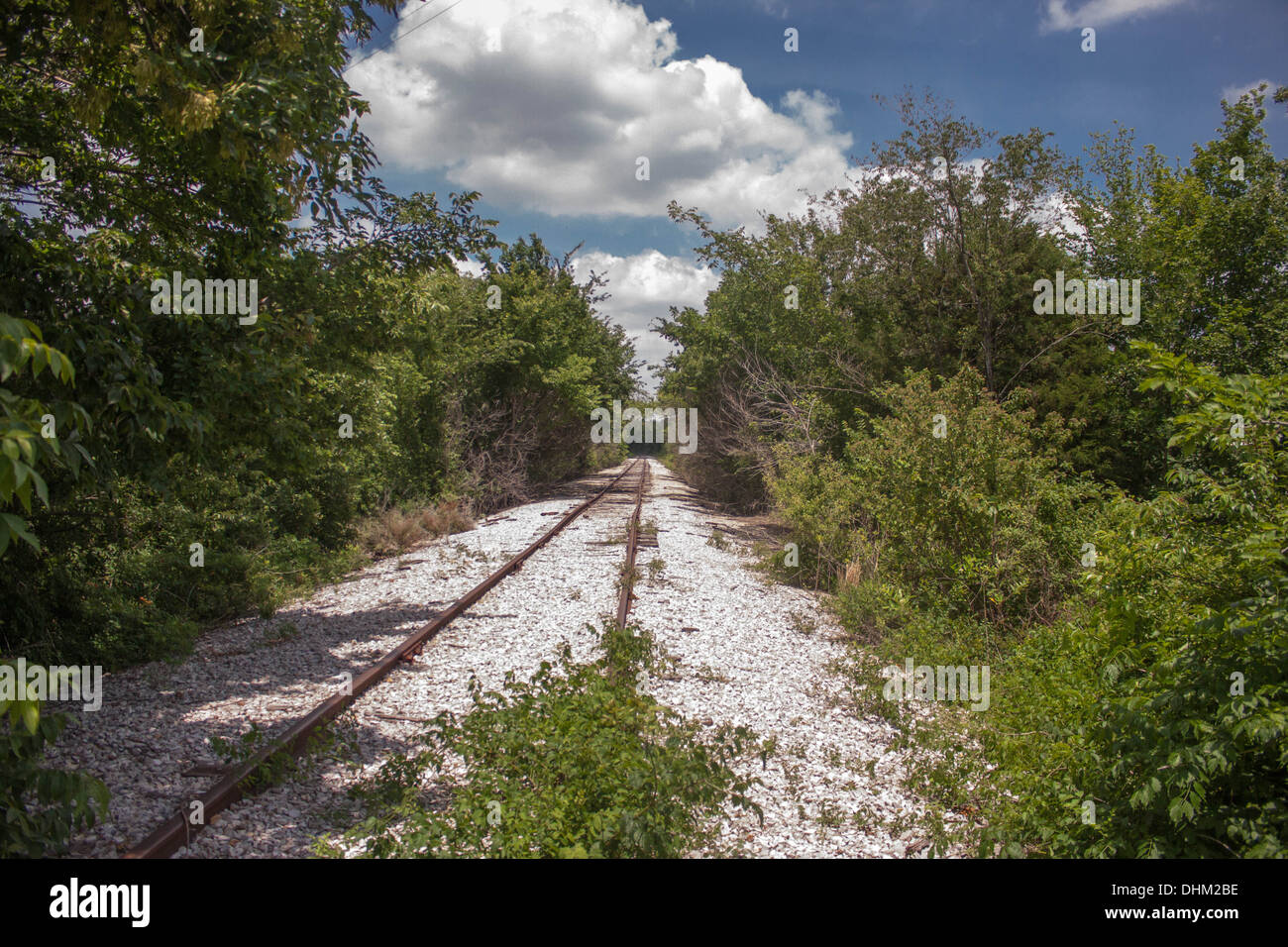 Langer Weg, den Spuren kommt man zu Ende gehen. Eisenbahn durch den Wald Stockfoto