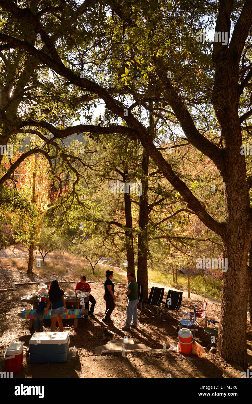 Besucher Madera Canyon genießen ein Picknick und Farben des Herbstes in den Santa Rita Mountains, Arizona, USA. Stockfoto