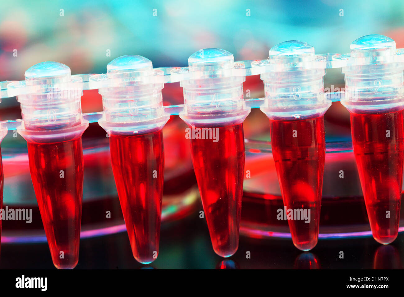 Stammzellen zur Behandlung von Krebs in einer Reaktionscup Stockfoto