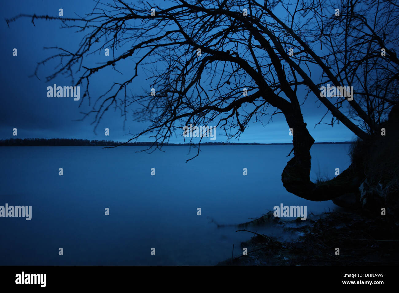 Blaue Stunde am See Saadjärv bei Sonnenuntergang. Estland, Europa Stockfoto