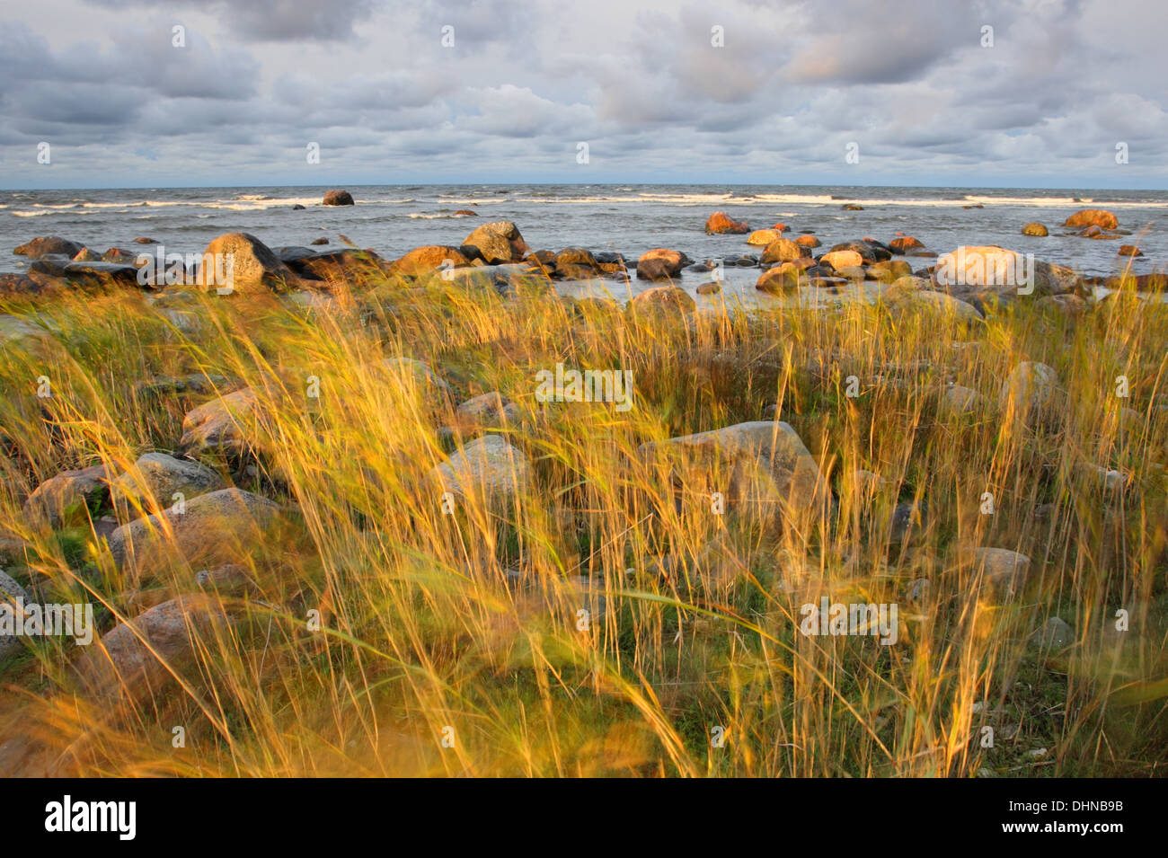 Windigen Morgen an der Küste auf der Insel Hiiumaa, Estland Stockfoto
