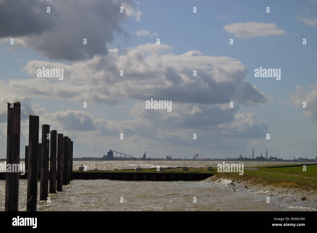 Poller am Dollart Stockfoto