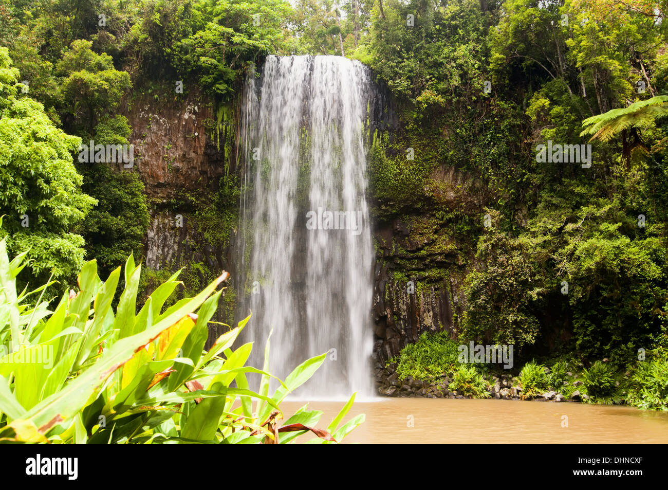 Millaa Millaa Falls in Queensland Stockfoto