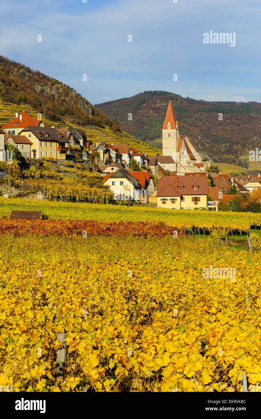 Österreichische Welt Kulturerbe Wachau im Herbst, Österreich, Niederösterreich, Wachau, Weissenkirchen Stockfoto