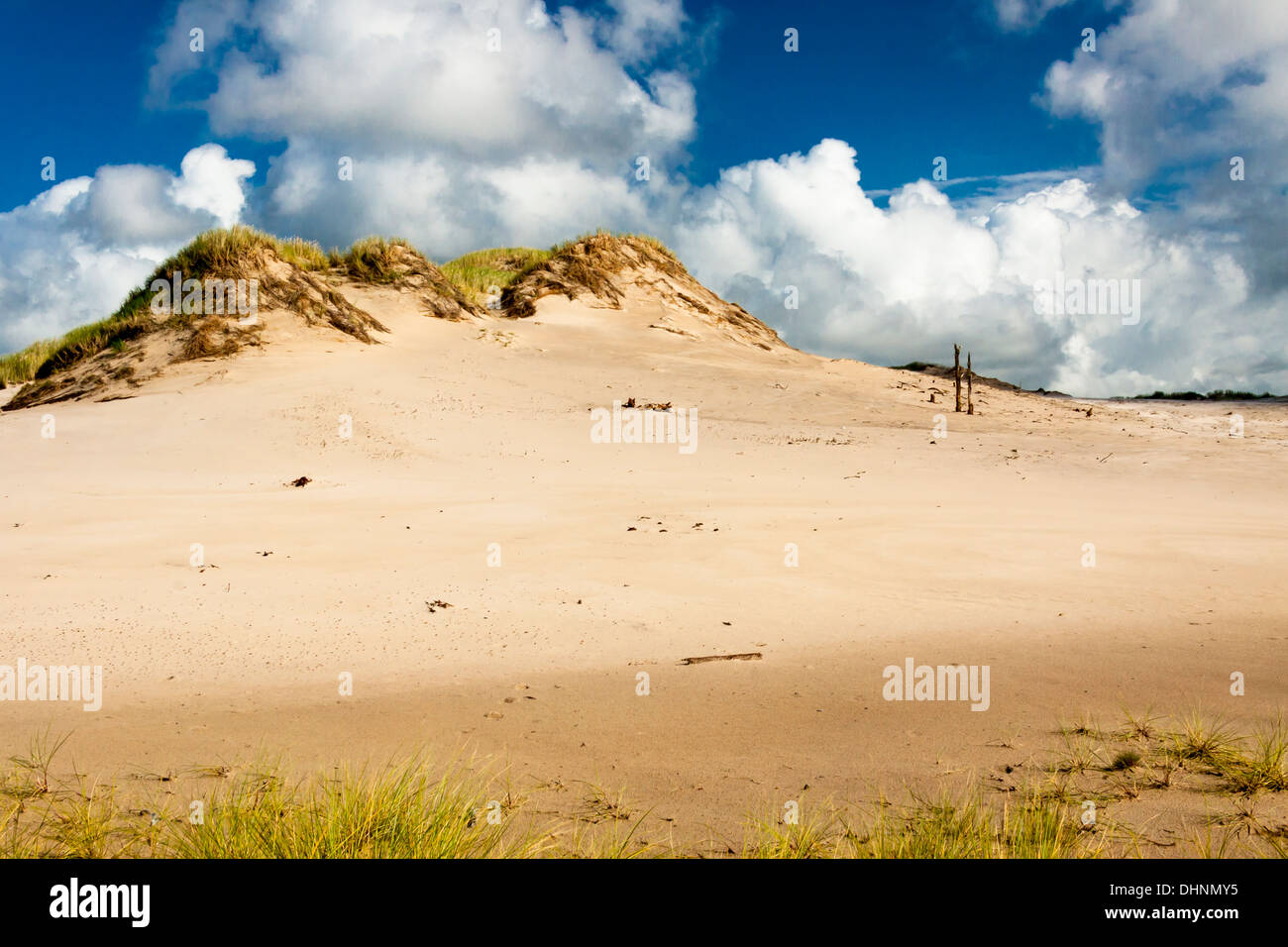 Blick auf Dünen im Nationalpark - Leba, Polen. Stockfoto