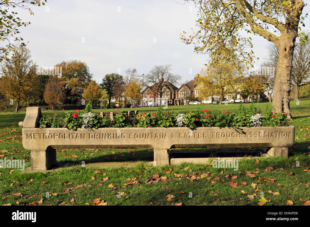 Ein alter Brunnen und Rinder durch Streatham Common, London Stockfoto