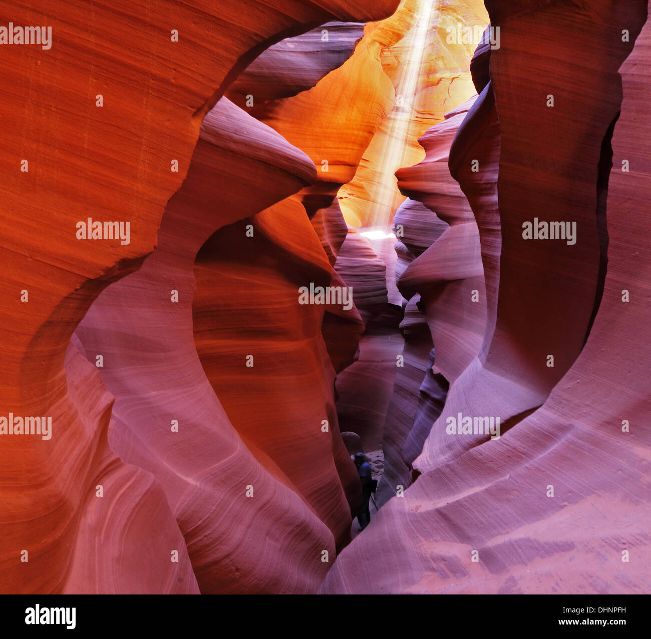 Ein Sonnenstrahl Stockfoto