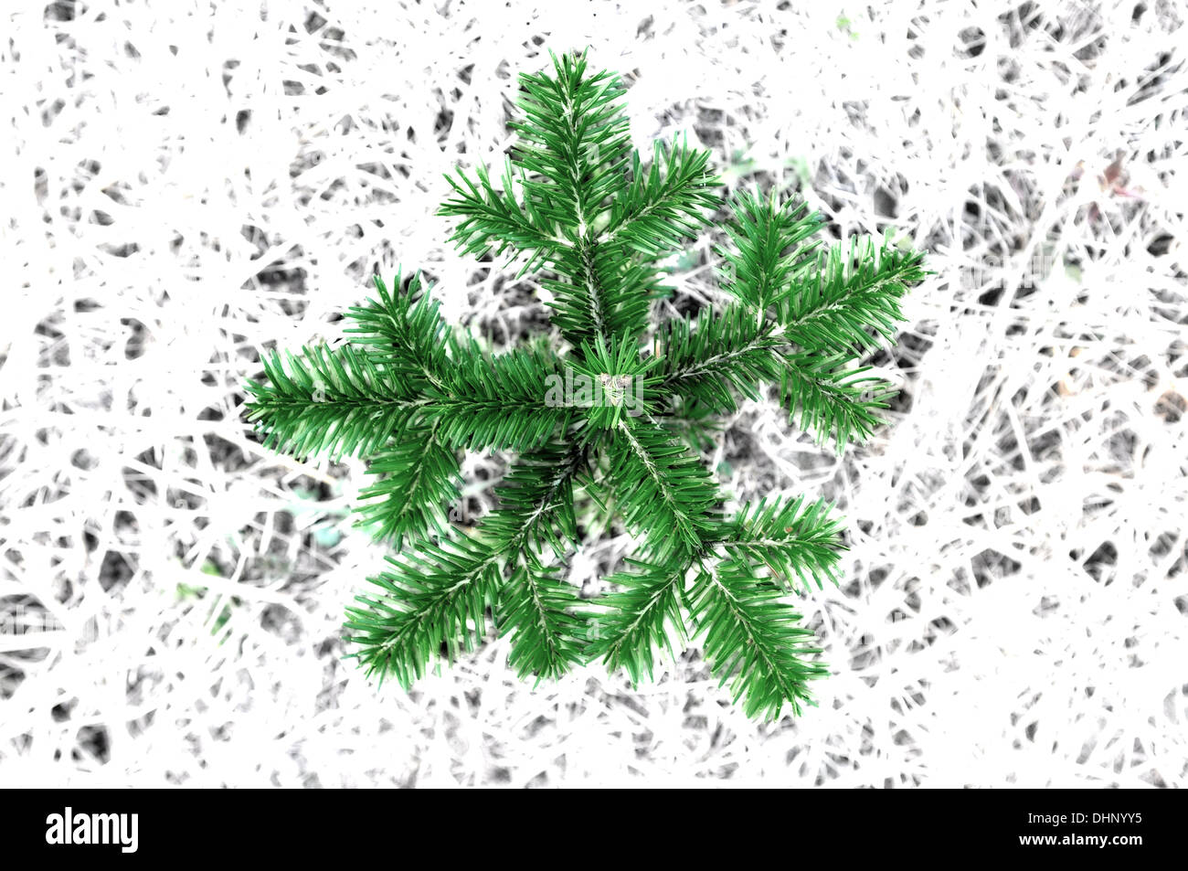 Schneeflocke-Weihnachtsbaum Stockfoto