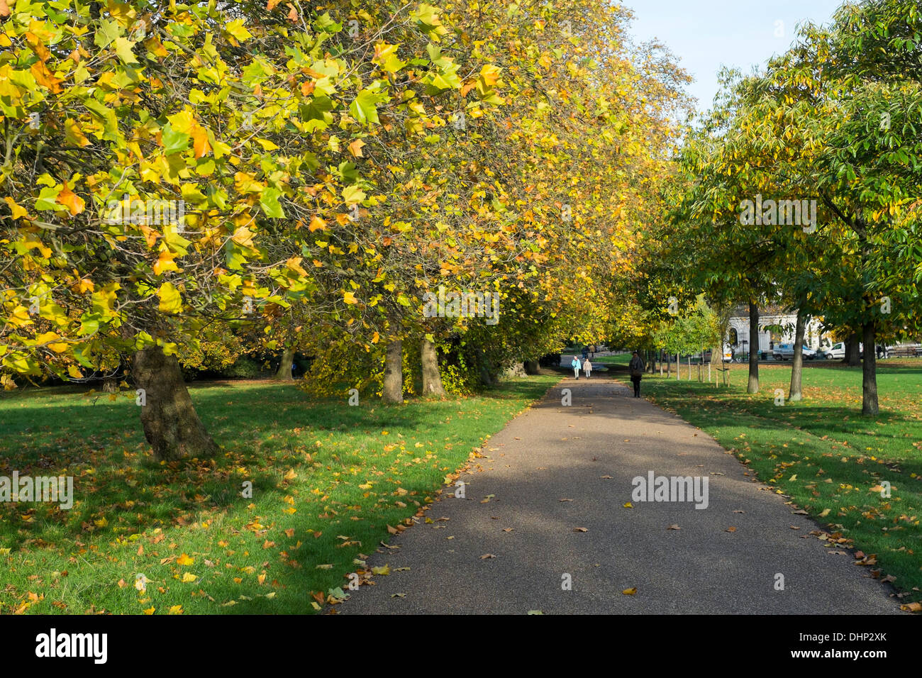 LONDON, UK - 13 NOVEMBER: Herbst in den Kensington Gardens mit Fußweg. 13. November 2013 in London. Stockfoto