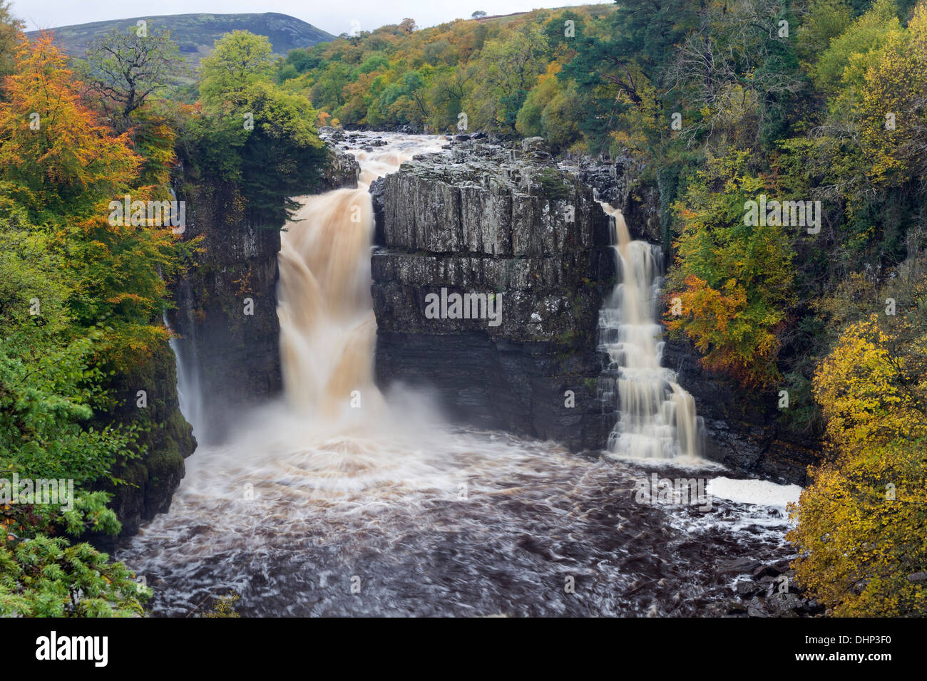 Hohe Kraft und des Flusses Tees im Herbst Teesdale County Durham UK Stockfoto