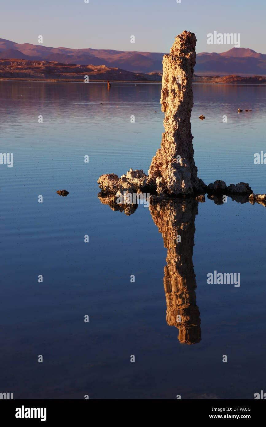 Das fantastische Riff Stockfoto