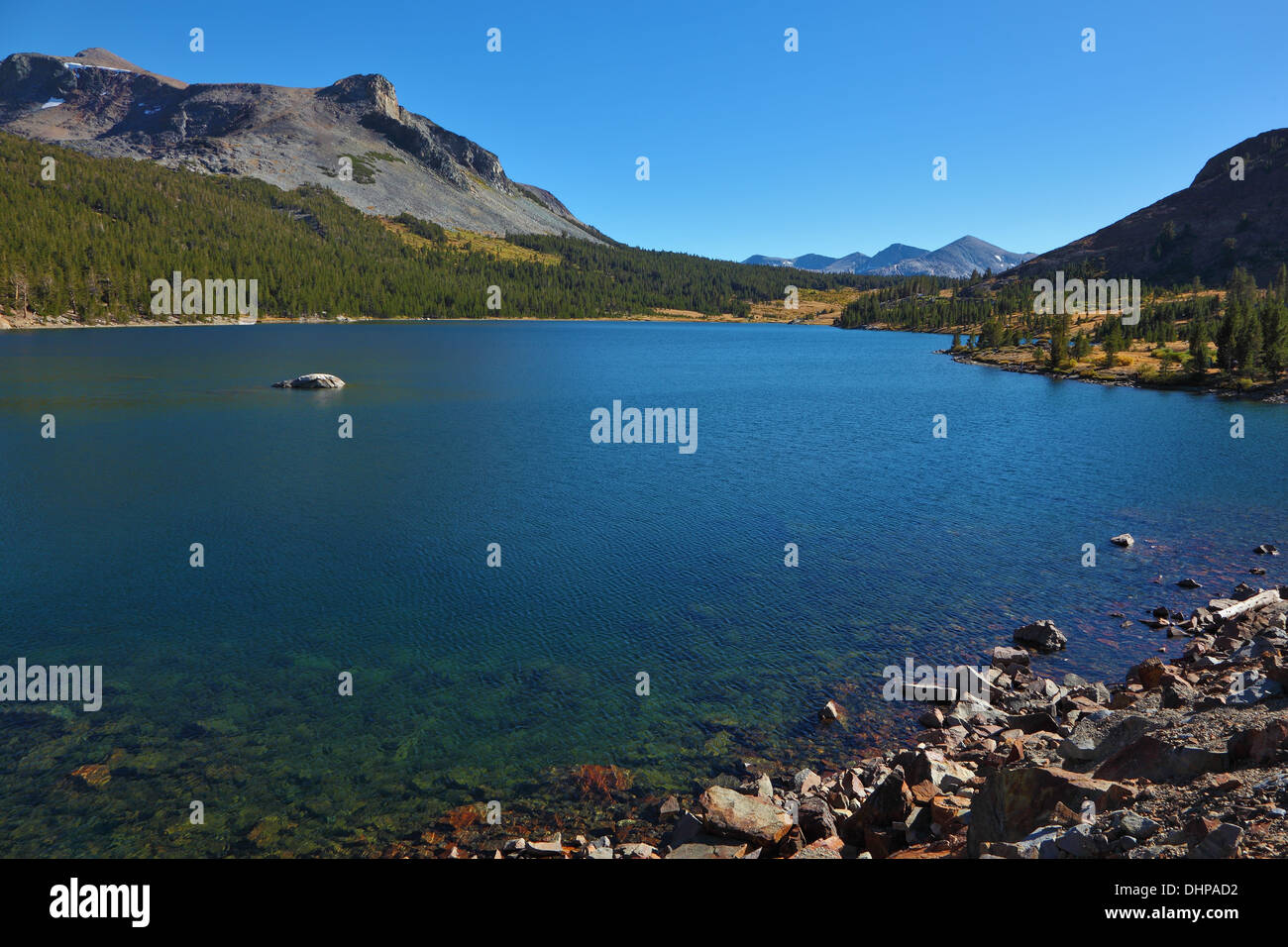 Holz und Steinen auf See Tioga Stockfoto