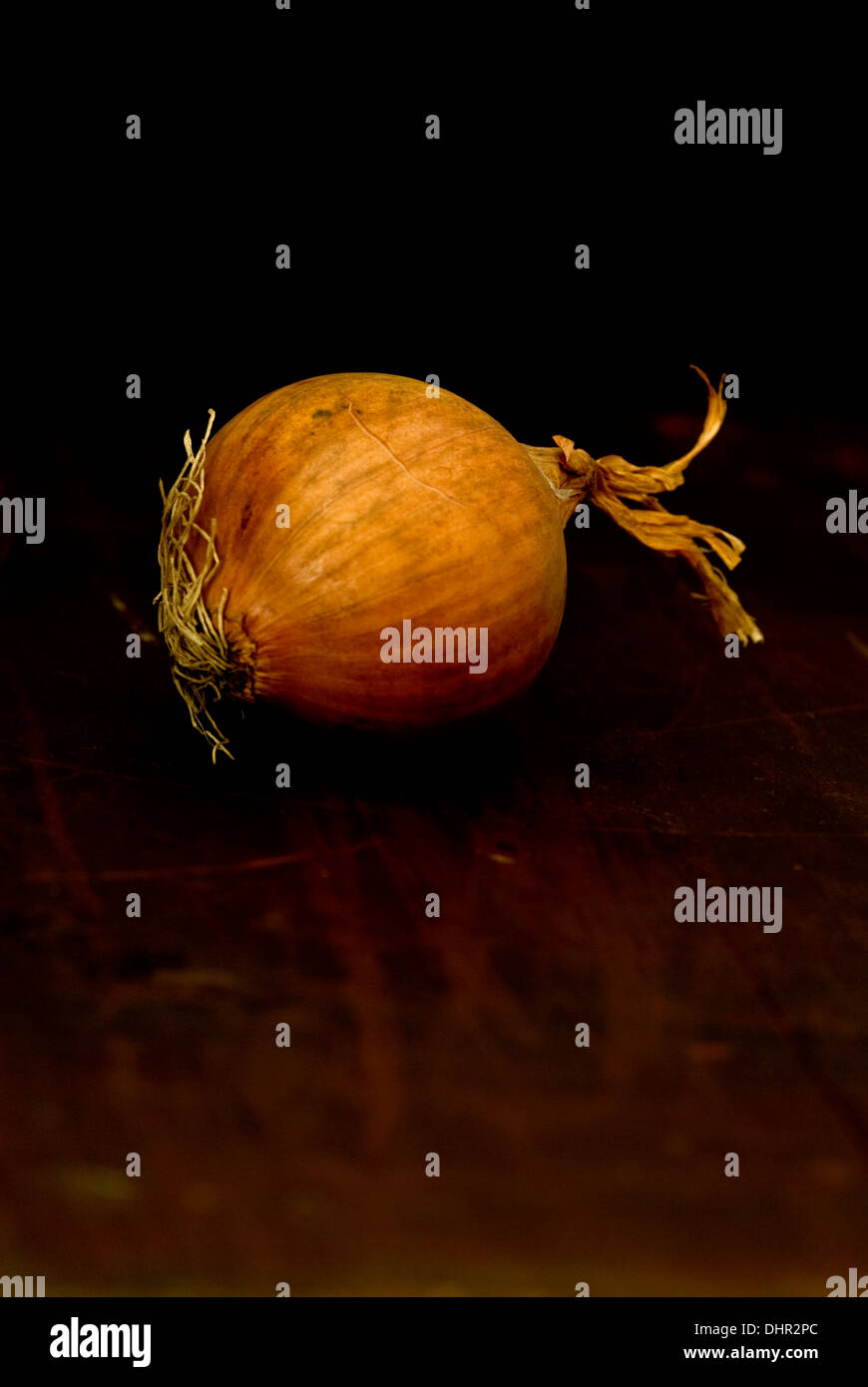 Still-Leben essen Bild eine weiße Zwiebel vor einem dunklen Hintergrund Stockfoto