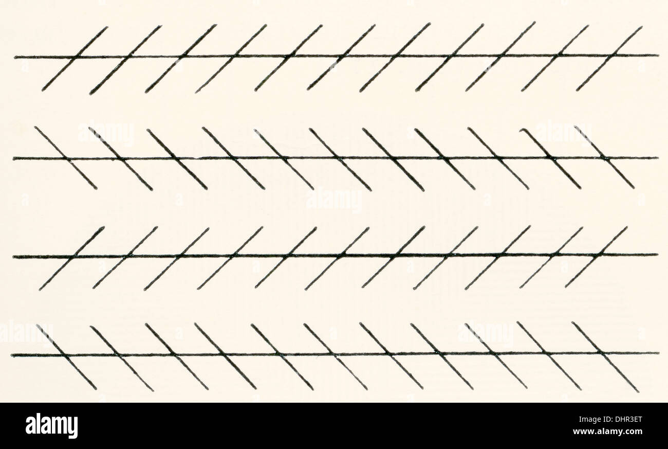 Die Zöllner Illusion. Eine parallele Linie scheint in Richtung der kürzeren Linien in einem Winkel schräg Stockfoto