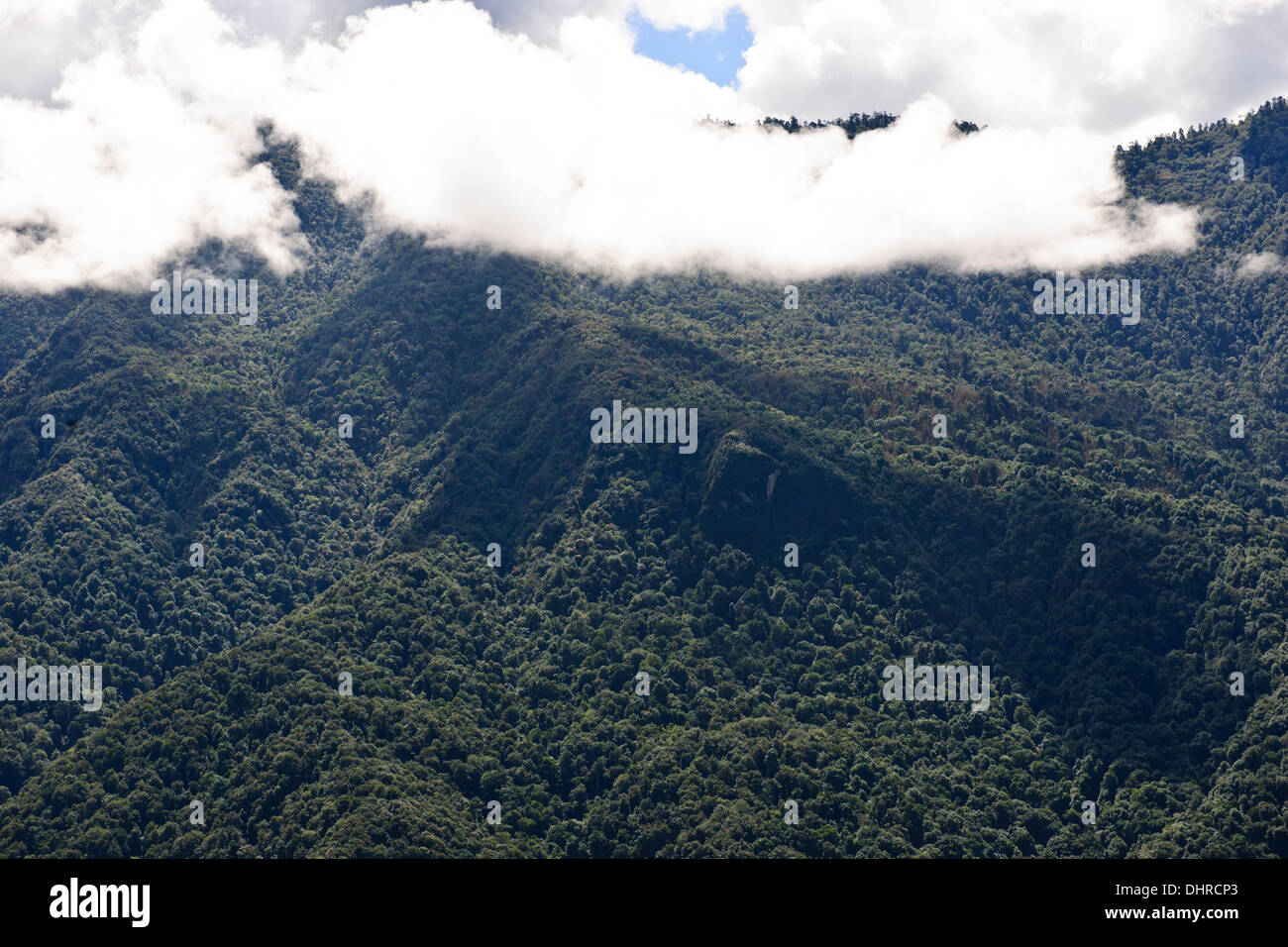 Trongsa Hills Dzong, Fluss, Mangde Chhu, Trongsa Markt, Könige Retreat, Aussicht vom Hotel Yanghil Resort, Trongsa, Ost Bhutan Stockfoto