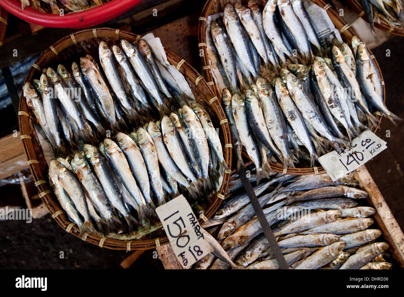 Frische Fische sind für den Verkauf auf dem Marktplatz in Davao angelegt. Stockfoto