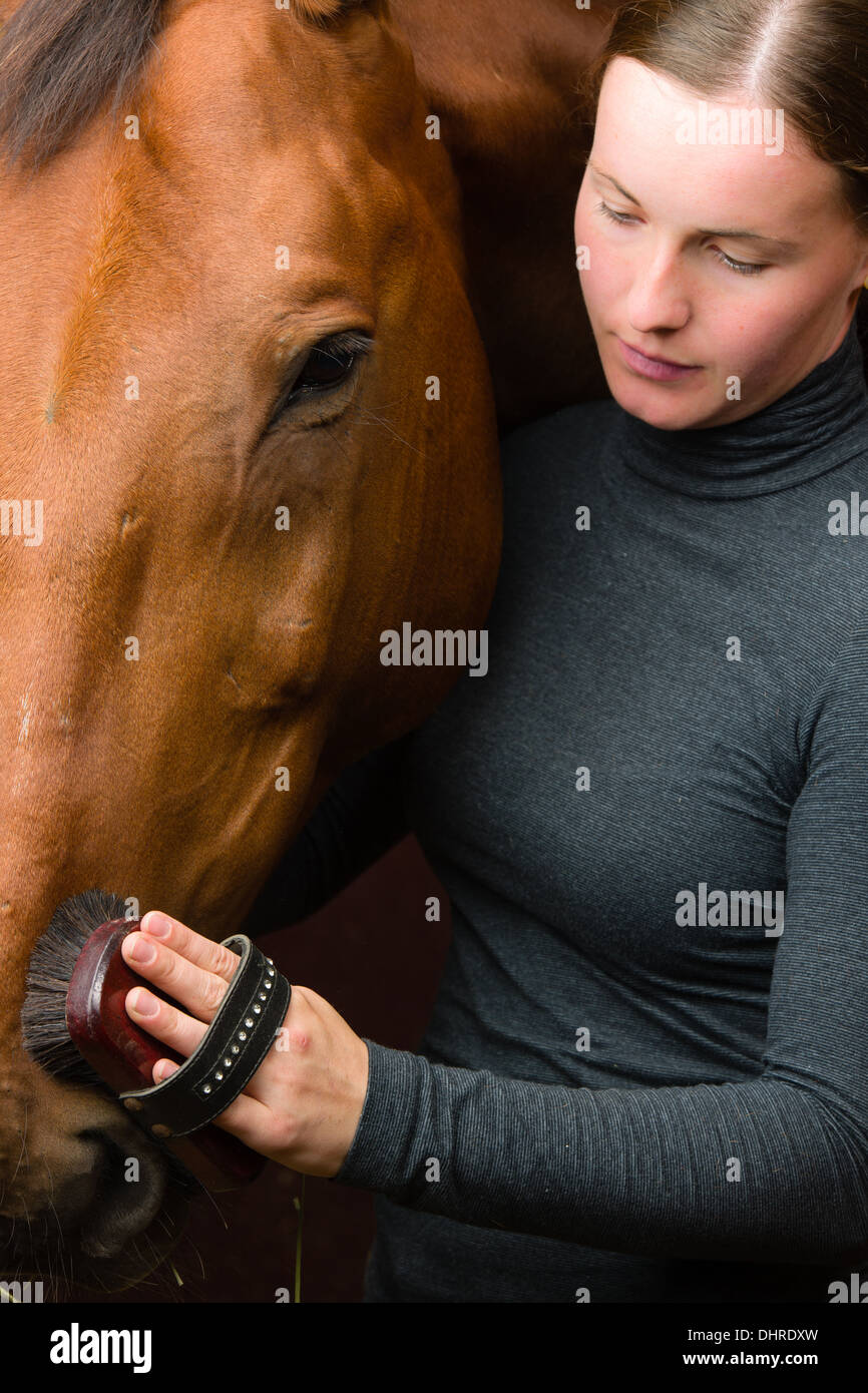 Frau, die pflegend Pferd im Stall, Hochformat Stockfoto